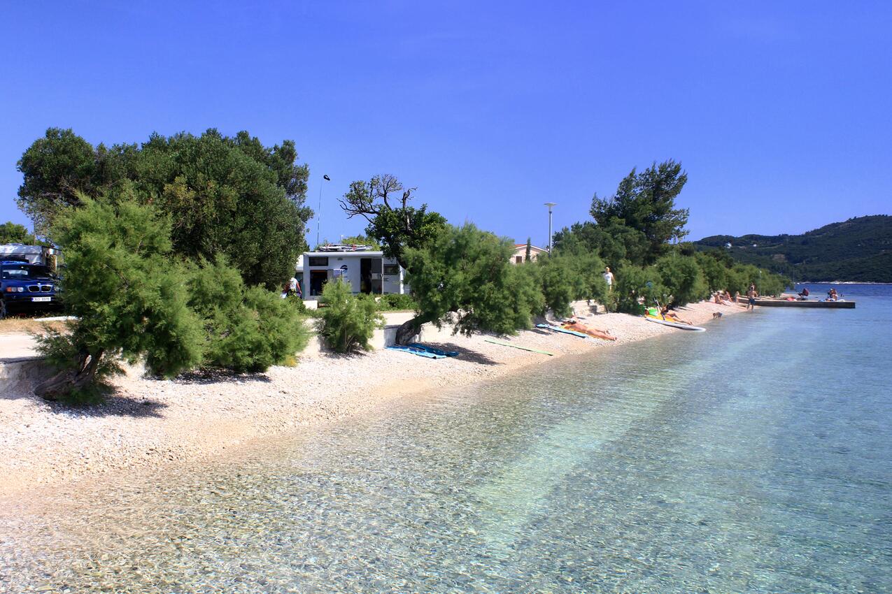 La spiaggia più vicina - Appartamenti accanto al mare Vigagni - Viganj, Sabbioncello - Pelješac