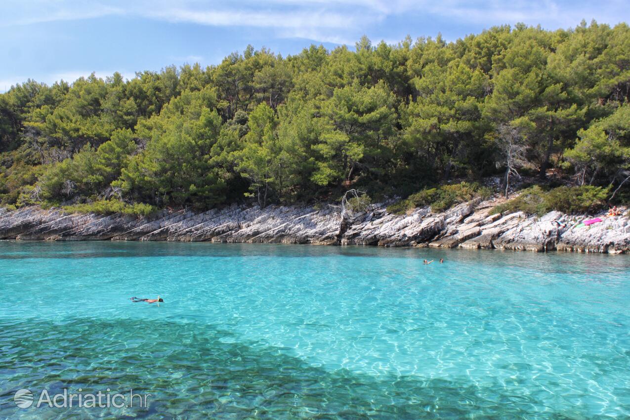 La spiaggia più vicina - Appartamenti con parcheggio Zavalatica, Curzola - Korčula