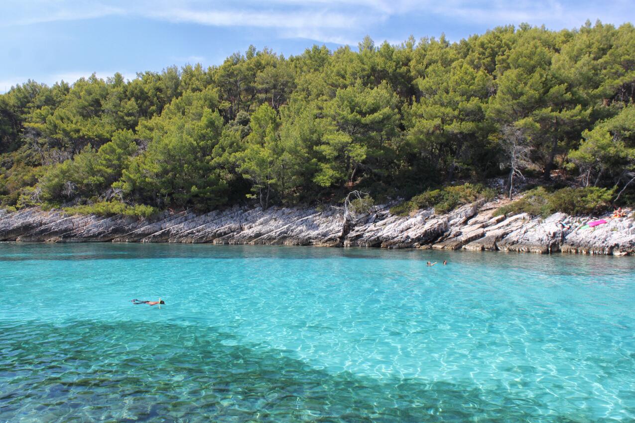 Najbliža plaža - Apartmani s parkingom Zavalatica, Korčula