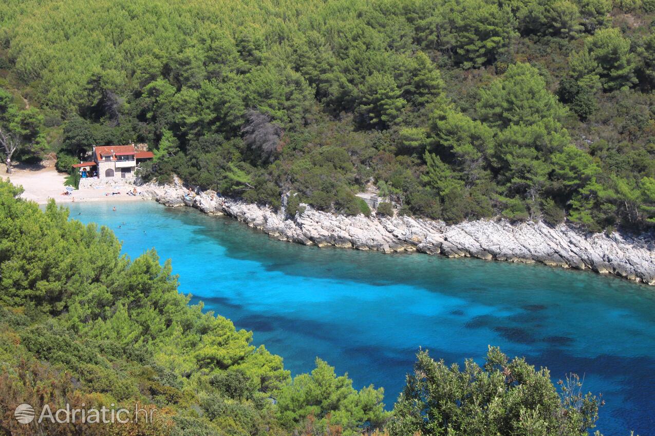 La spiaggia più vicina - Appartamenti con parcheggio Zavalatica, Curzola - Korčula