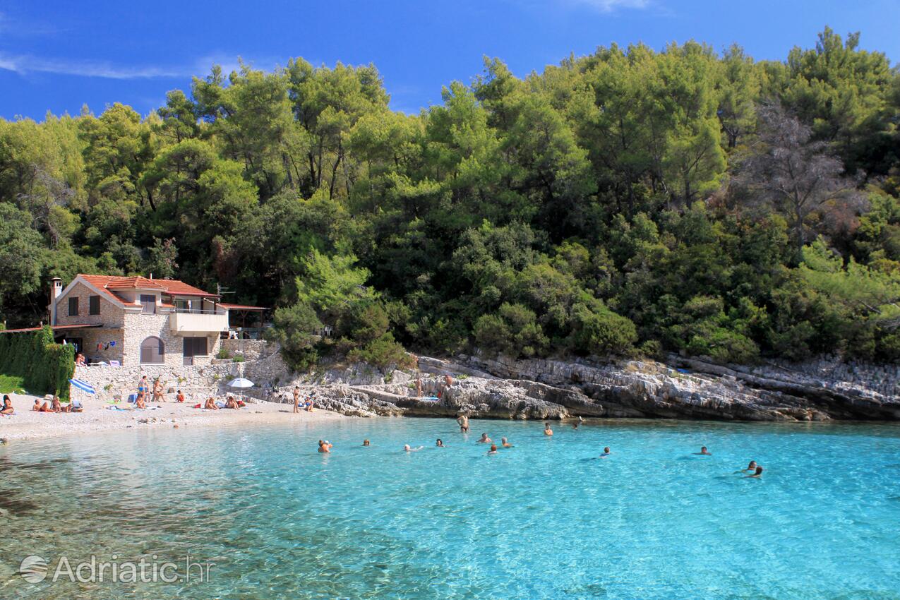La spiaggia più vicina - Appartamenti con parcheggio Zavalatica, Curzola - Korčula