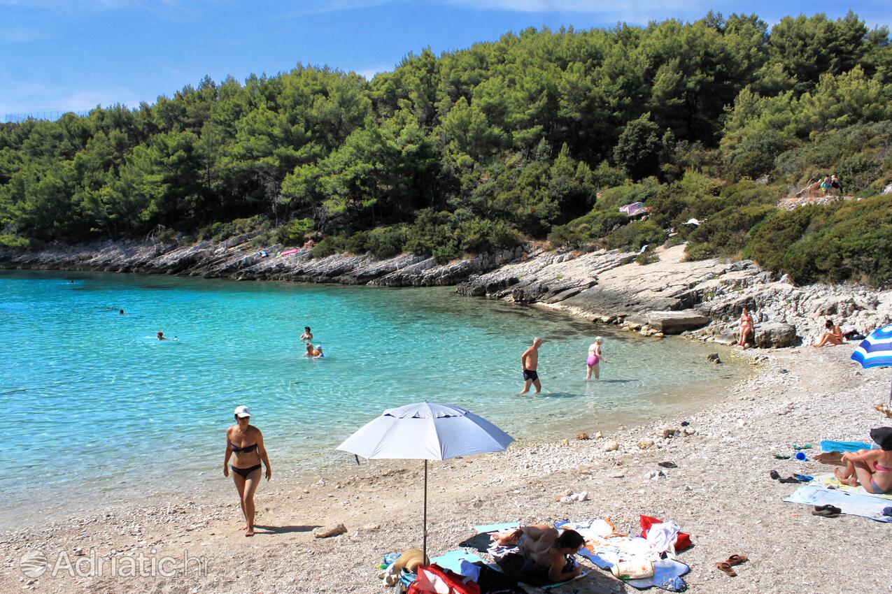 La spiaggia più vicina - Appartamenti con parcheggio Zavalatica, Curzola - Korčula