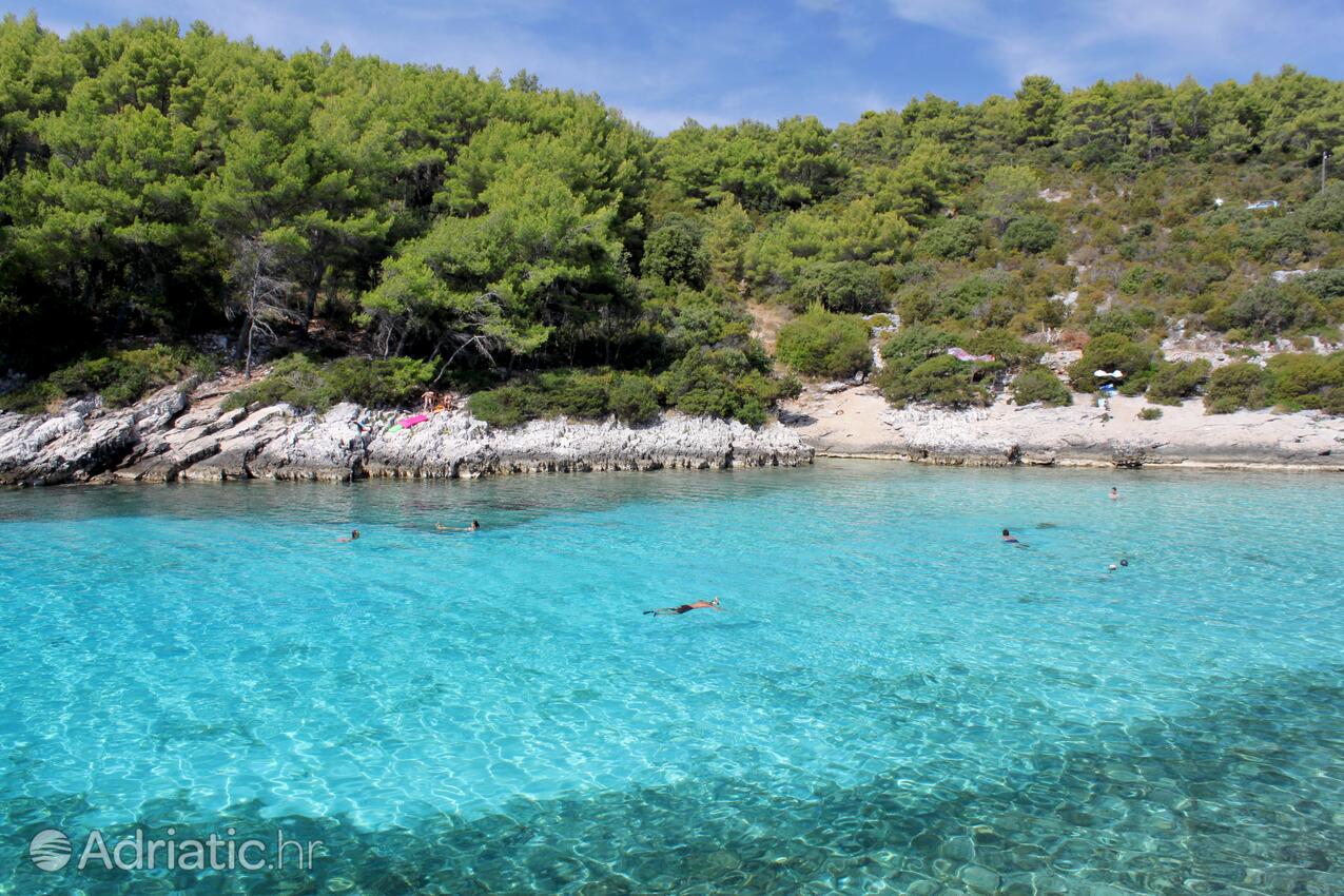 La spiaggia più vicina - Appartamenti con parcheggio Zavalatica, Curzola - Korčula
