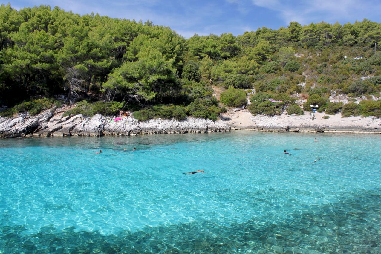 Najbliža plaža - Apartmani s parkingom Zavalatica, Korčula