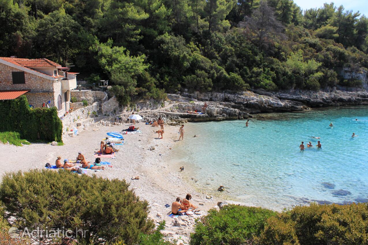 La spiaggia più vicina - Appartamenti con parcheggio Zavalatica, Curzola - Korčula