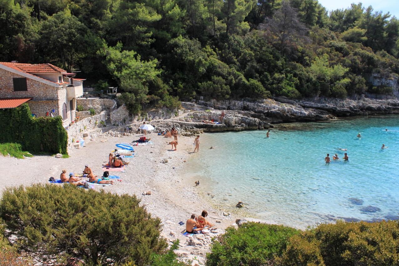 Najbliža plaža - Apartmani s parkingom Zavalatica, Korčula