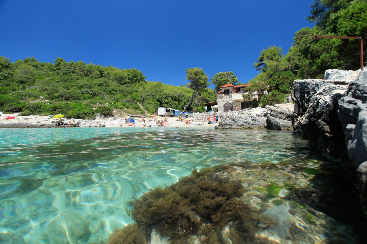 La spiaggia più vicina - Appartamenti con parcheggio Zavalatica, Curzola - Korčula