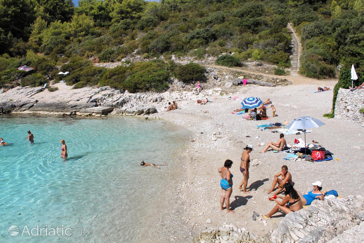 La spiaggia più vicina - Appartamenti con parcheggio Zavalatica, Curzola - Korčula