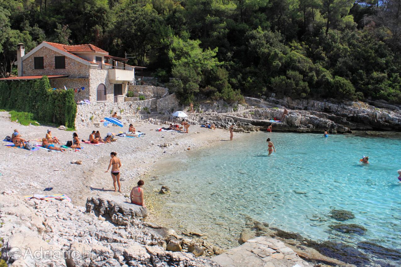 La spiaggia più vicina - Appartamenti con parcheggio Zavalatica, Curzola - Korčula