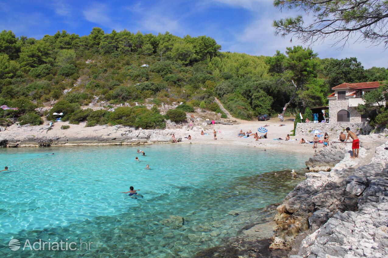 La spiaggia più vicina - Appartamenti con parcheggio Zavalatica, Curzola - Korčula