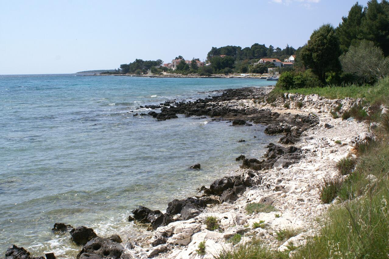 La spiaggia più vicina - Appartamenti accanto al mare Baia Gradina, Curzola - Korčula