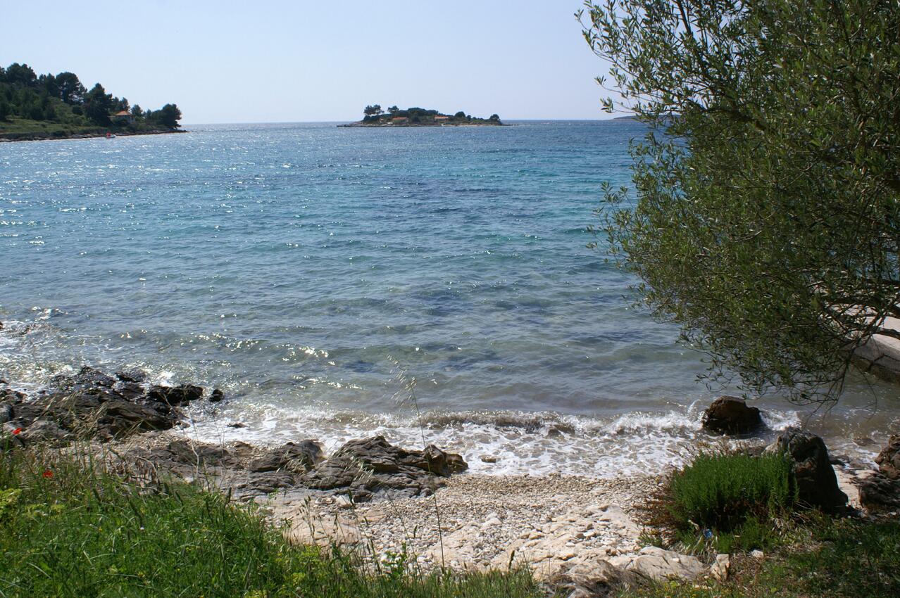 La spiaggia più vicina - Appartamenti accanto al mare Baia Gradina, Curzola - Korčula
