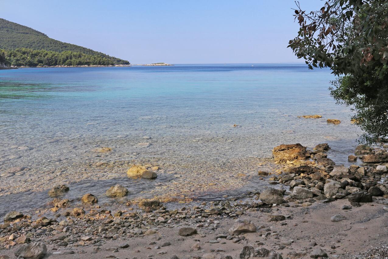 La spiaggia più vicina - Appartamenti accanto al mare Zuljana, Sabbioncello - Pelješac