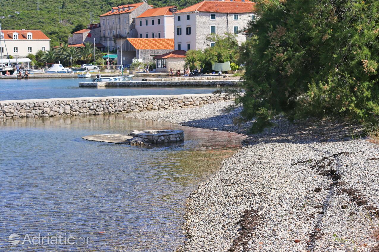 Nearest beach - Apartments and rooms with parking space Mali Ston, Pelješac