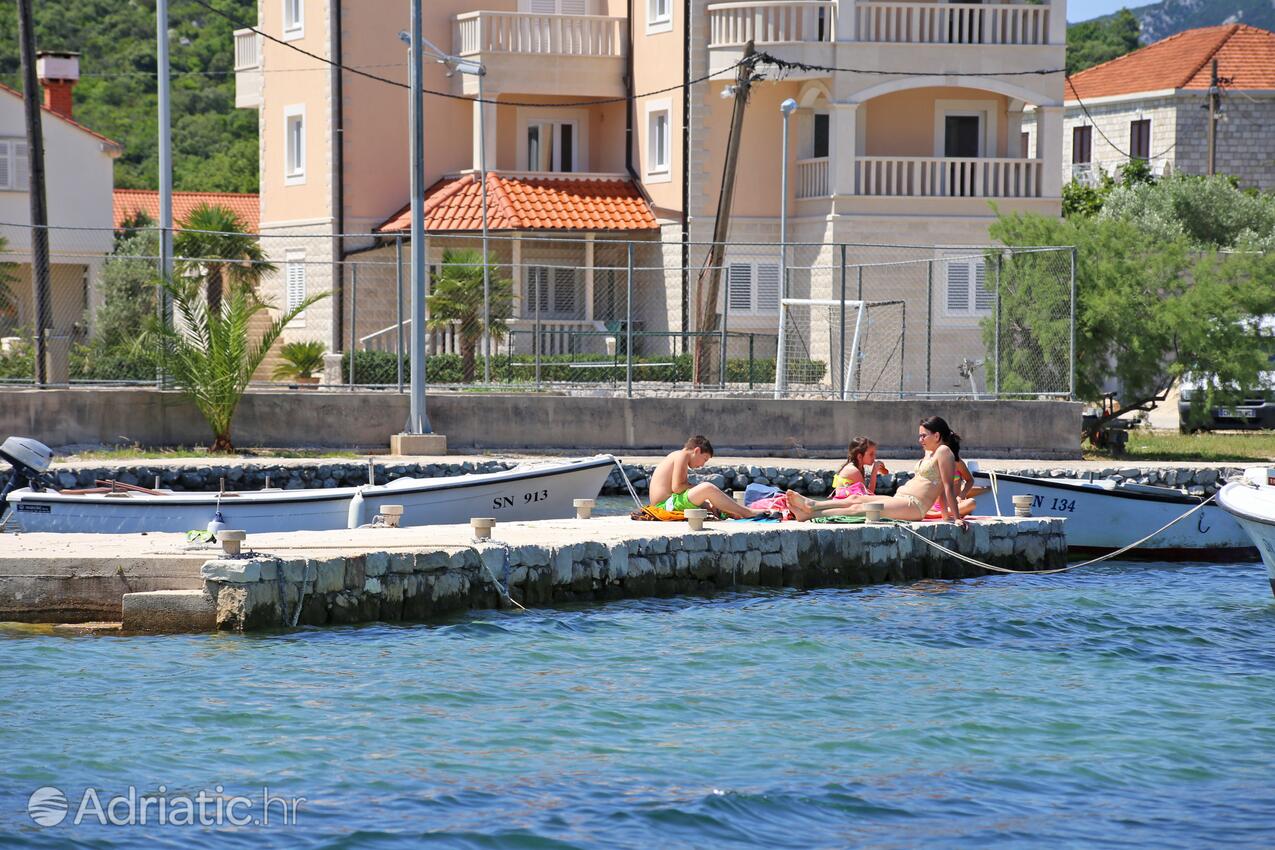 Nearest beach - Apartments and rooms with parking space Mali Ston, Pelješac