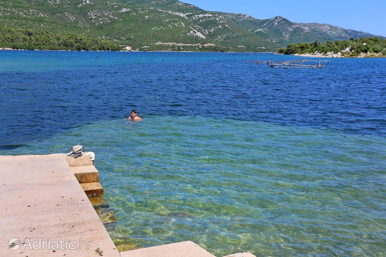 Nearest beach - Apartments and rooms with parking space Mali Ston, Pelješac