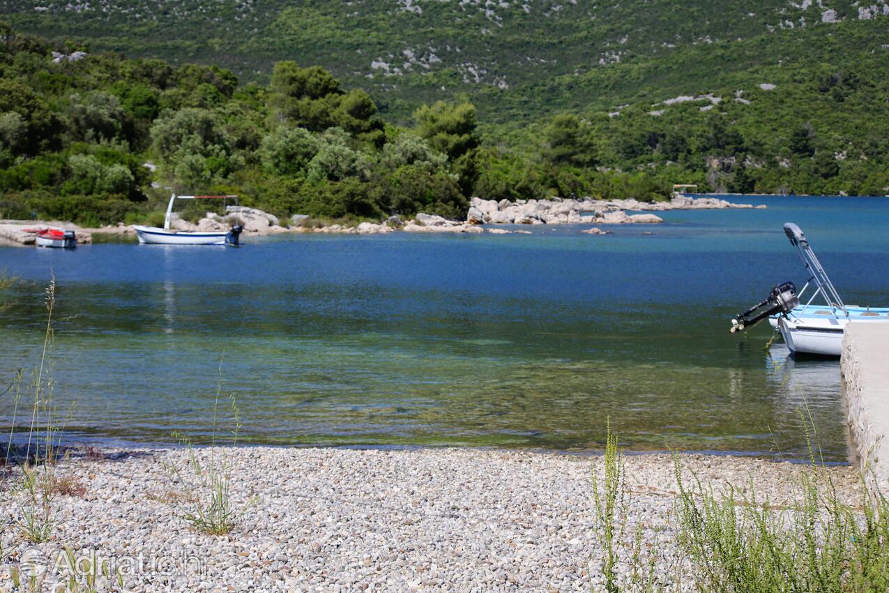 Nearest beach - Apartments and rooms with parking space Mali Ston, Pelješac