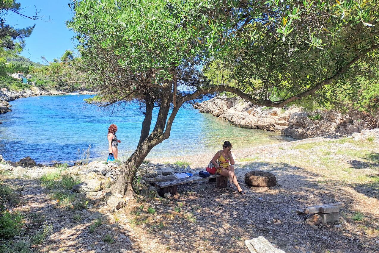 La spiaggia più vicina - Appartamenti con piscina per famiglie Baia Poplat, Curzola - Korčula