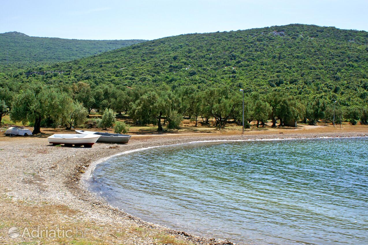 Adriatic.hr