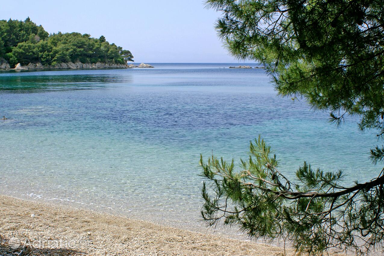 Adriatic.hr