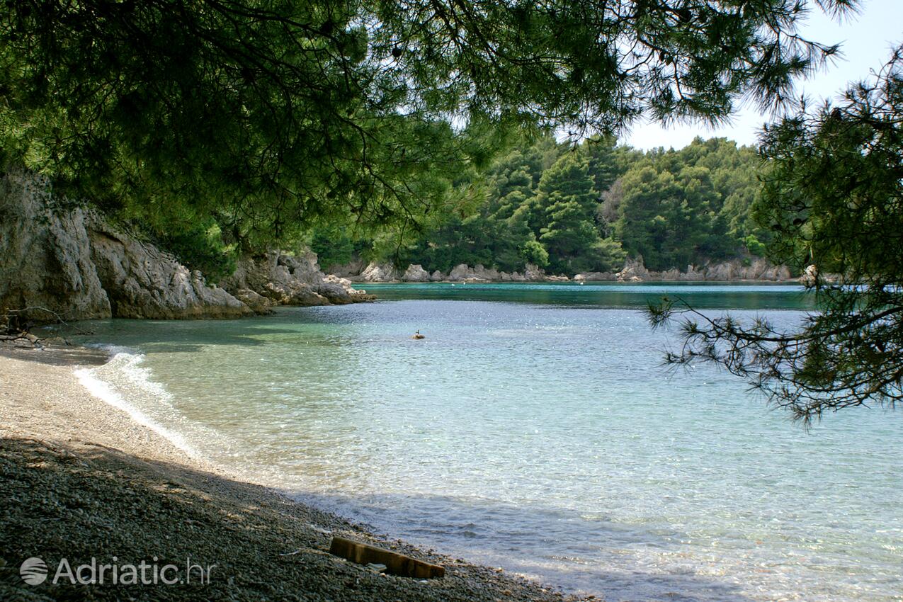 Adriatic.hr