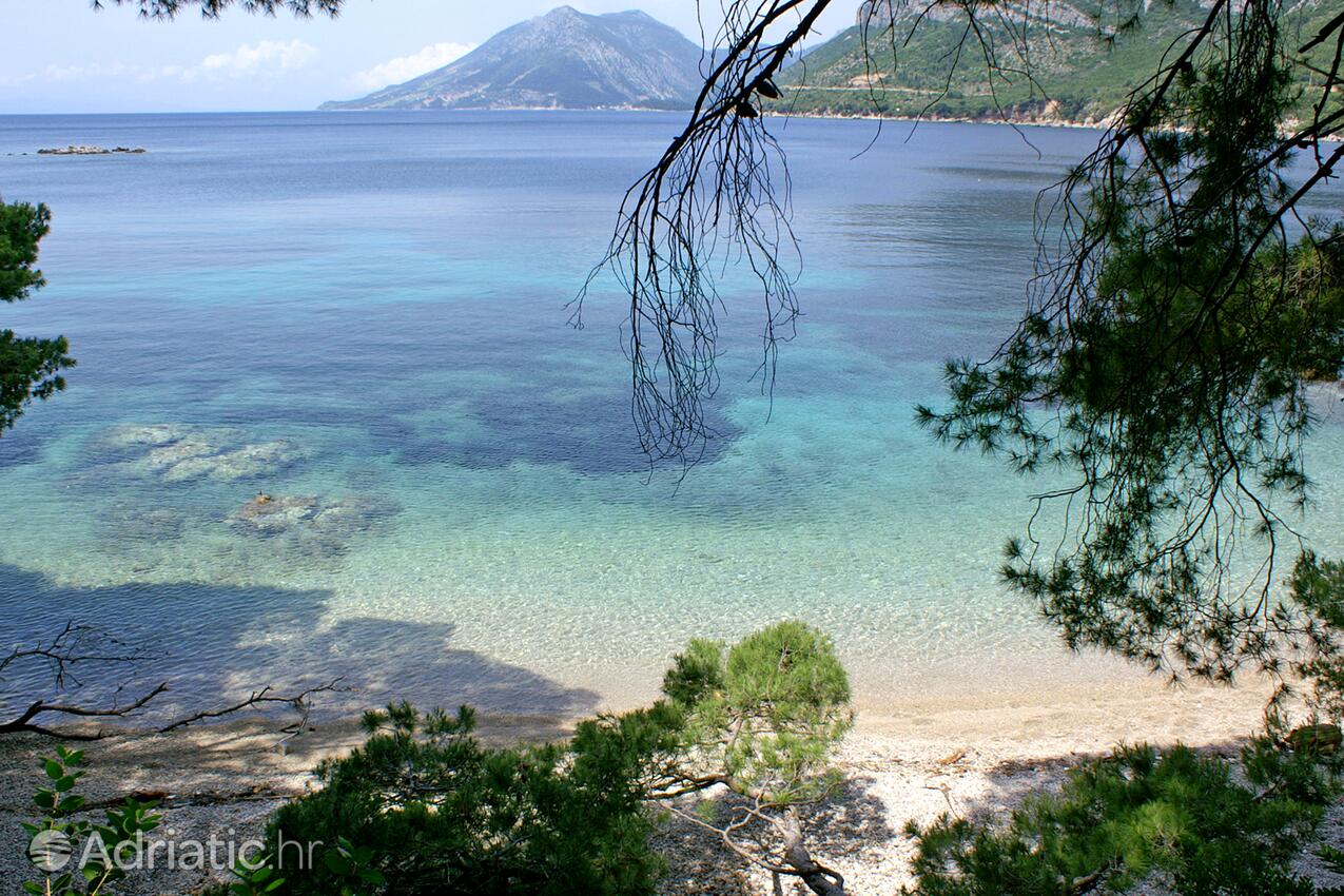 Adriatic.hr