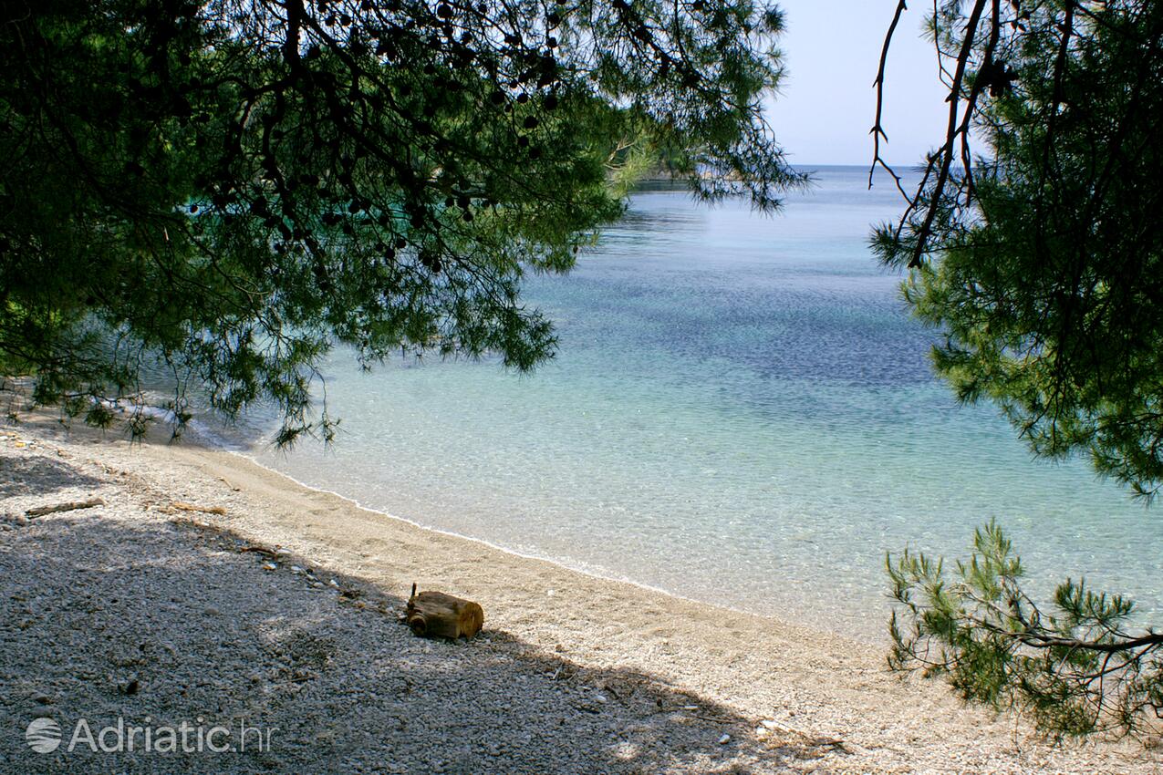 Adriatic.hr