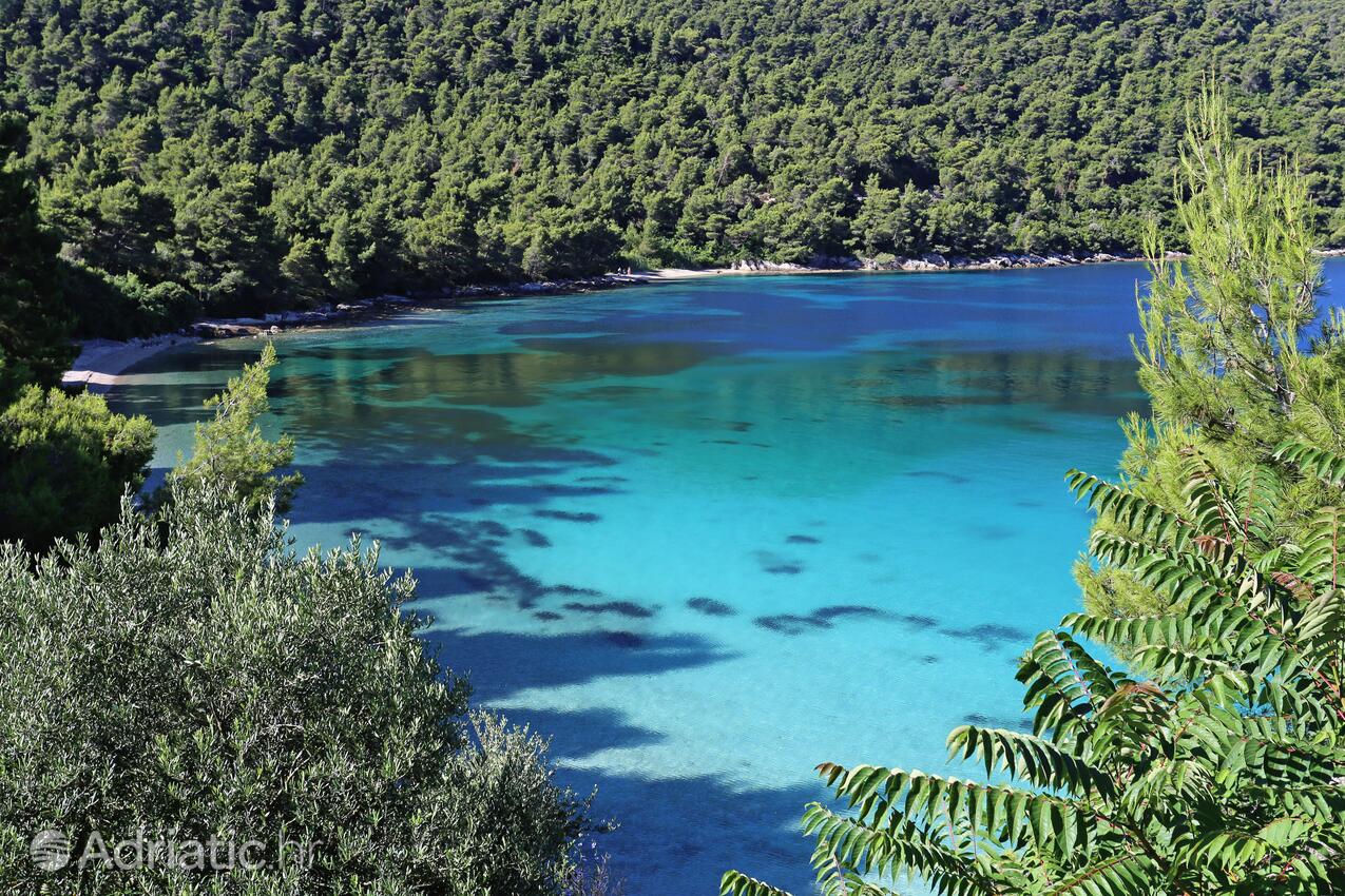 Adriatic.hr