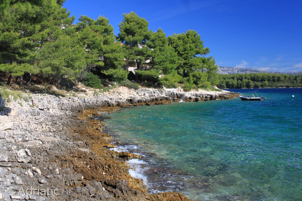 Nearest beach - Apartments by the sea Lumbarda, Korčula