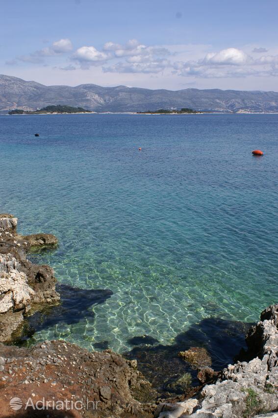 Nearest beach - Apartments by the sea Lumbarda, Korčula