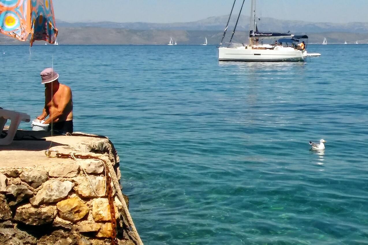 La spiaggia più vicina - Appartamenti accanto al mare Baia Cruschizza Bassa - Donja Krušica, Solta