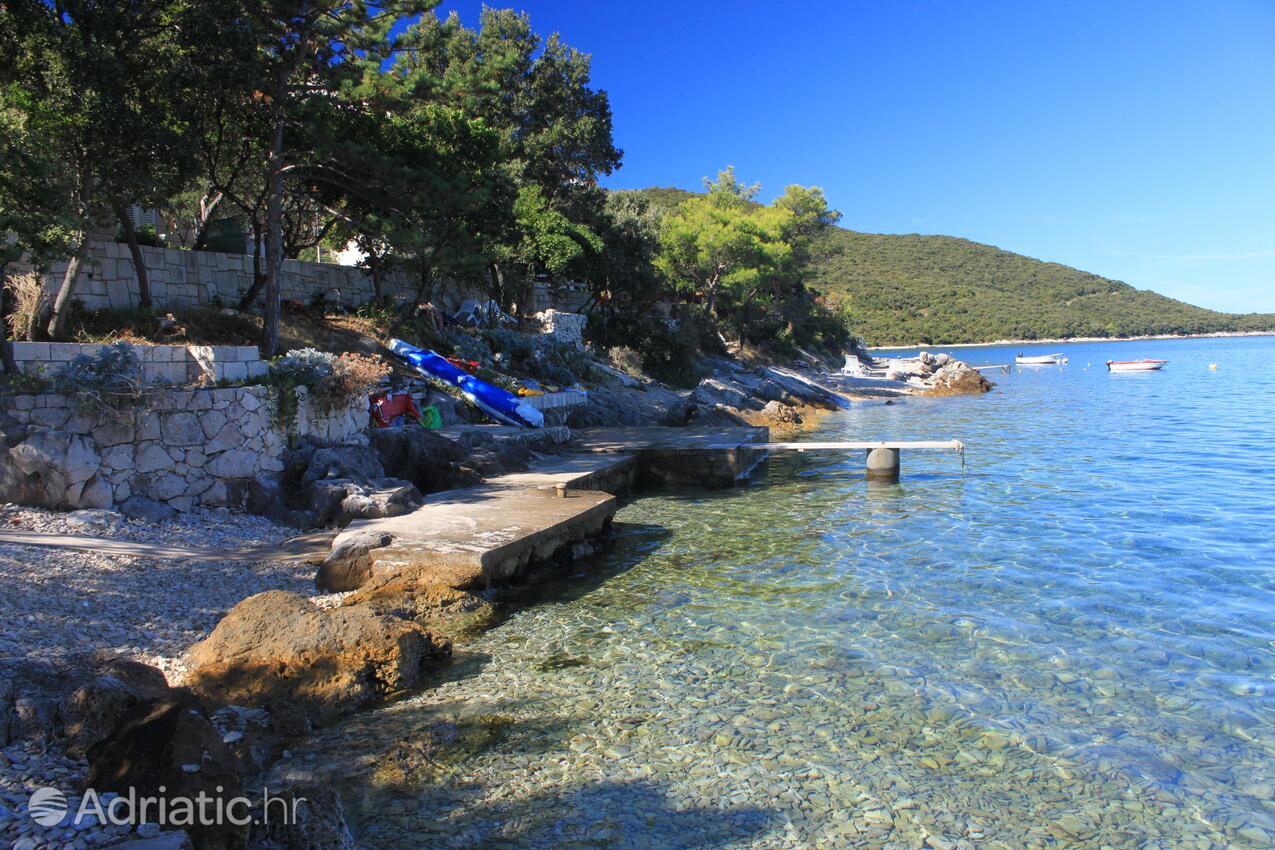Nearest beach - Apartments by the sea Tri Žala, Korčula