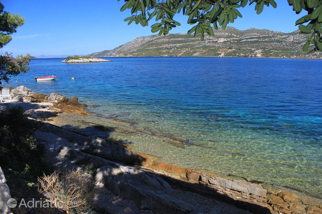 Nearest beach - Apartments by the sea Tri Žala, Korčula
