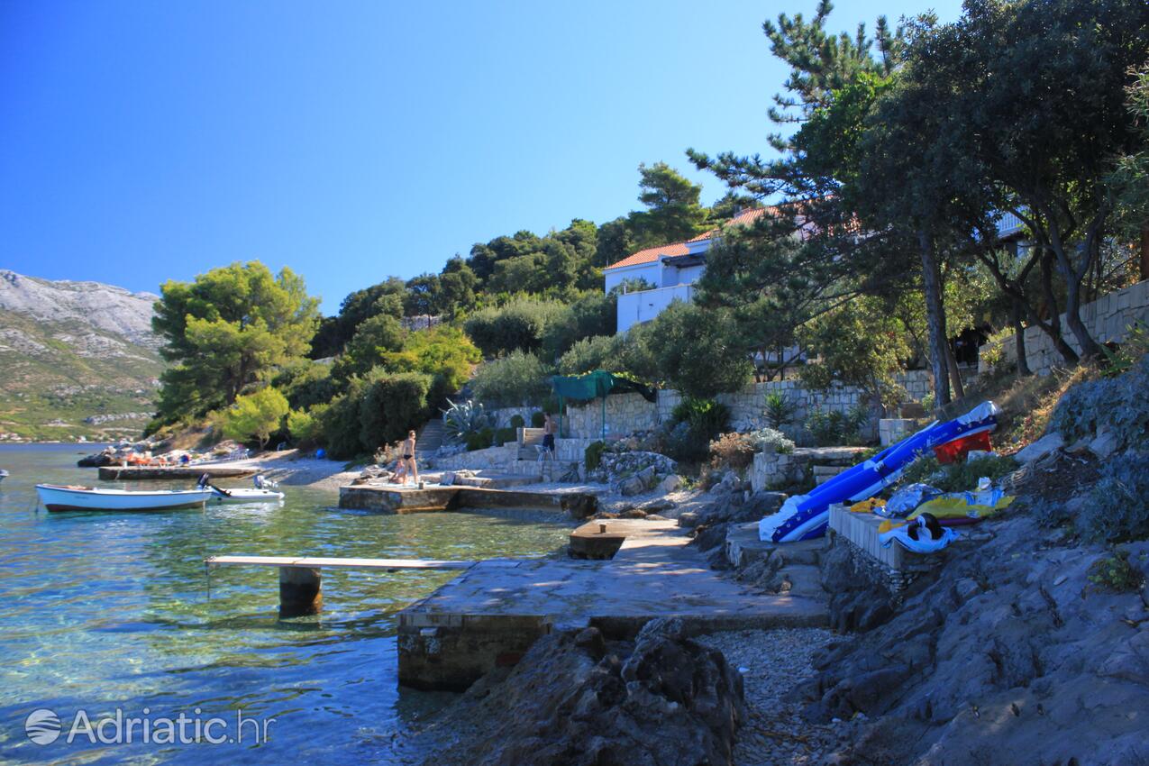 Nearest beach - Apartments by the sea Tri Žala, Korčula
