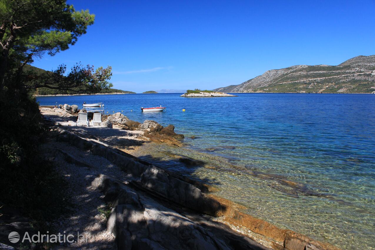 Nearest beach - Apartments by the sea Tri Žala, Korčula