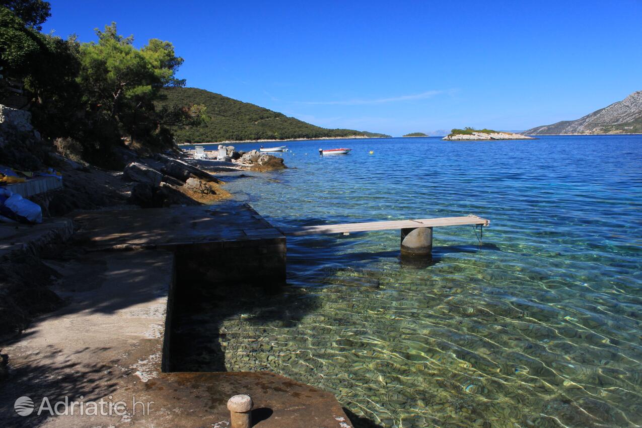 Nearest beach - Apartments by the sea Tri Žala, Korčula