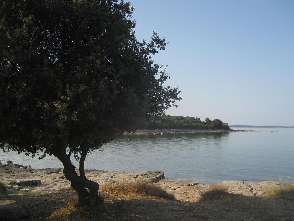 Adriatic.hr