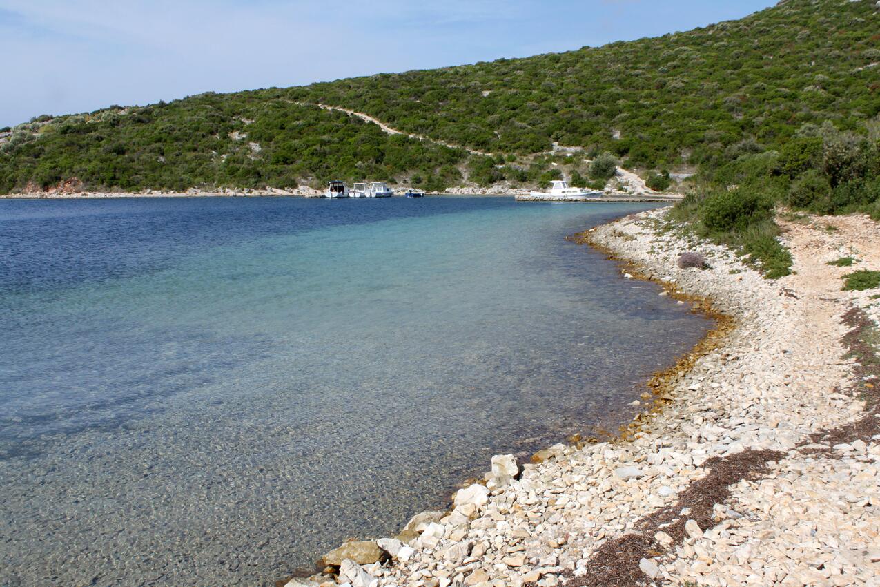Nearest beach - Secluded fisherman's cottage Cove Kobiljak, Pašman