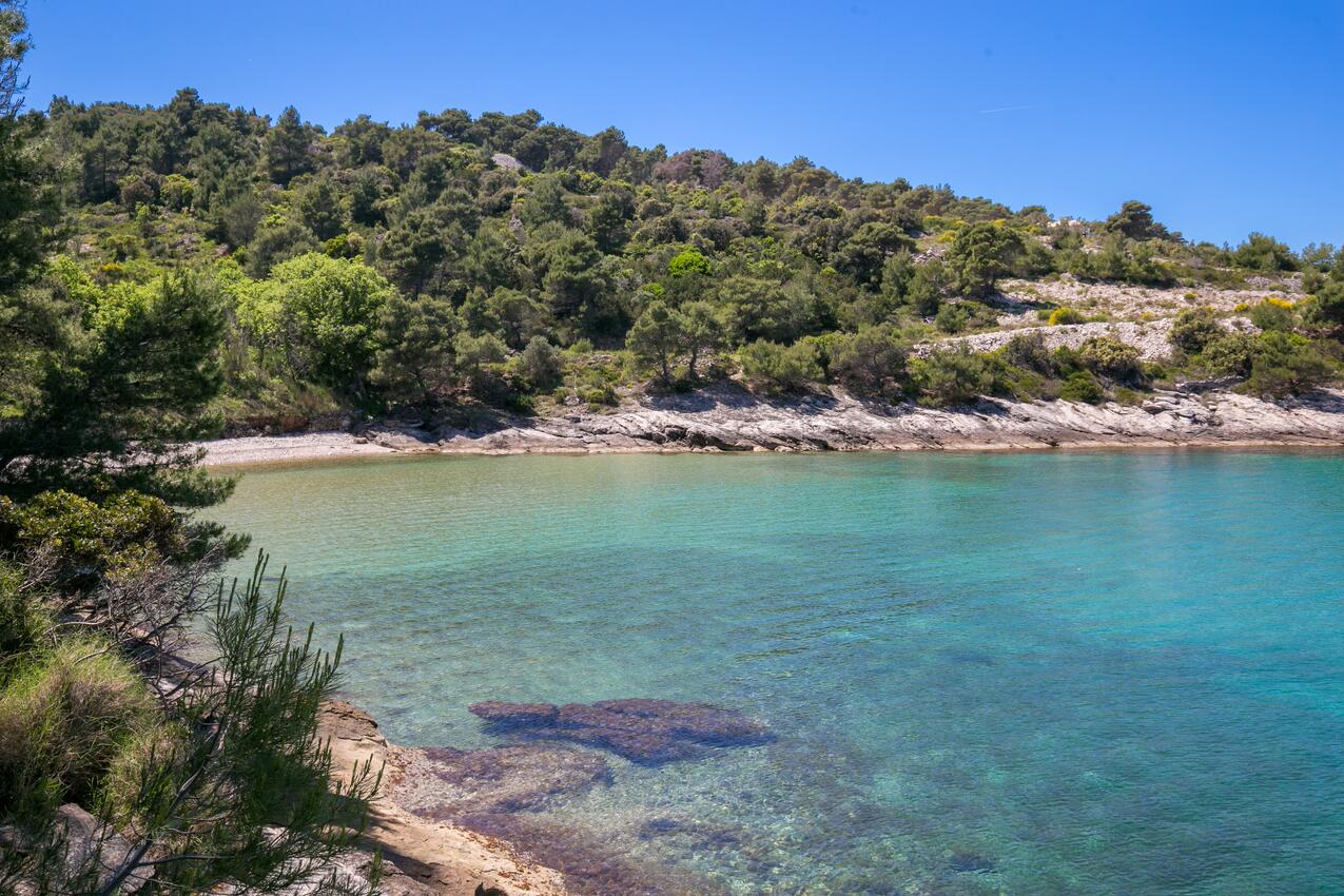 La spiaggia più vicina - Casa isola per famiglia Baia Ducac, Brazza - Brač