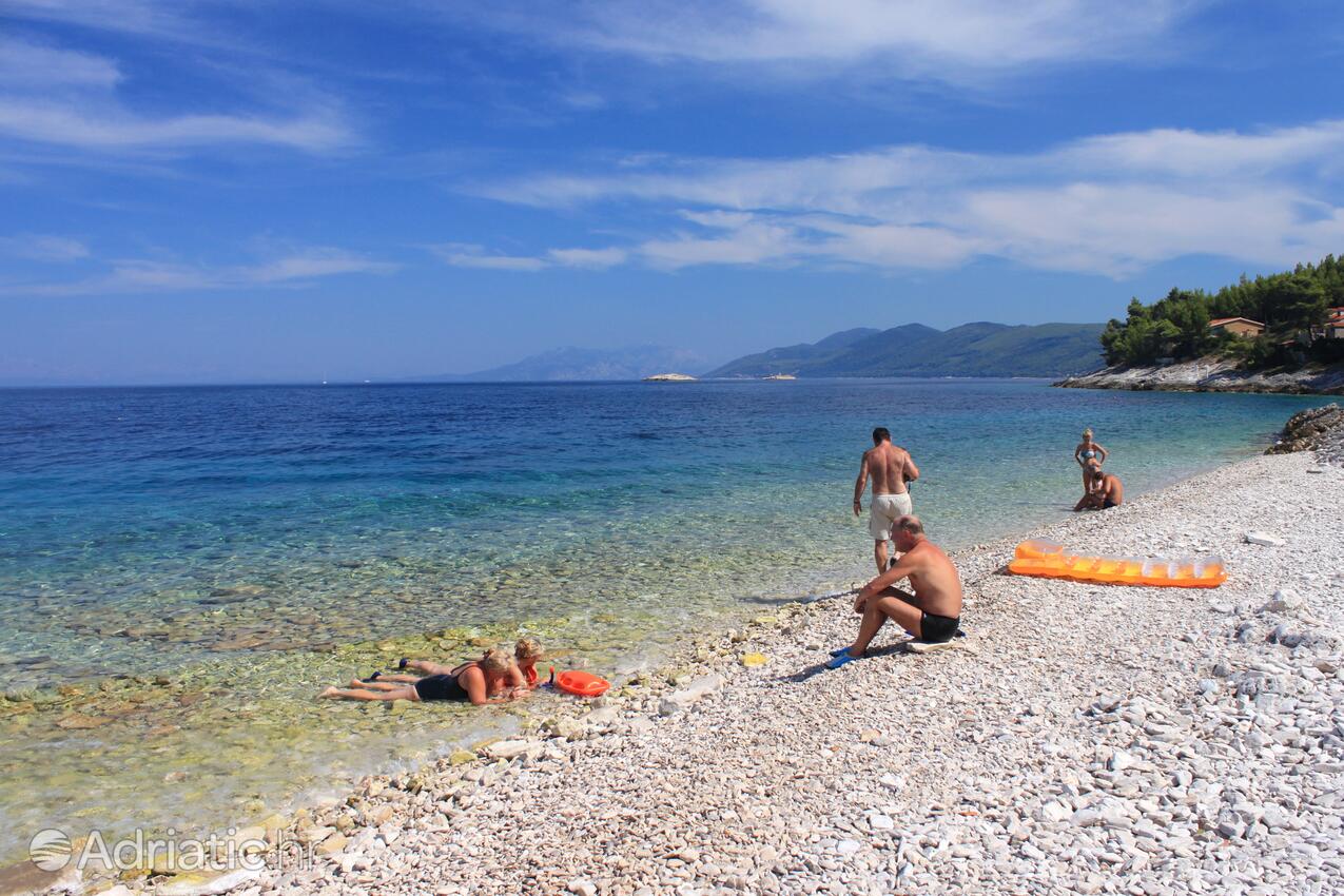 Adriatic.hr