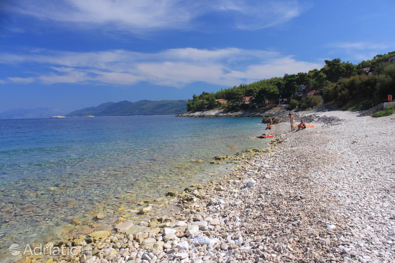 Adriatic.hr