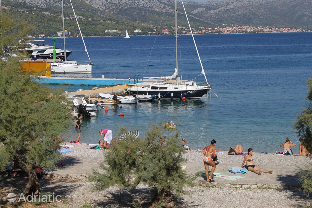 Nearest beach - Apartments by the sea Korčula