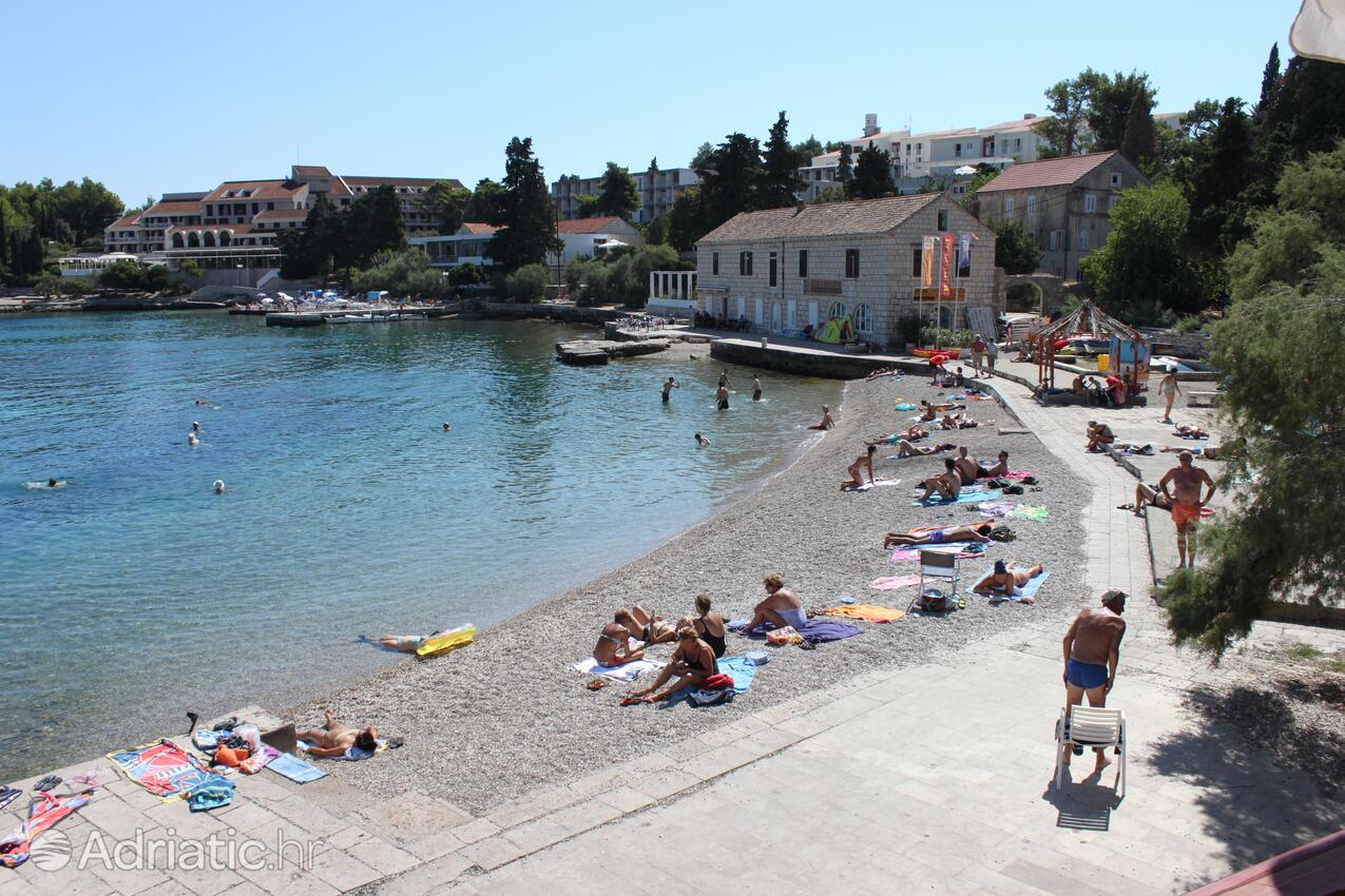 Nearest beach - Apartments by the sea Korčula
