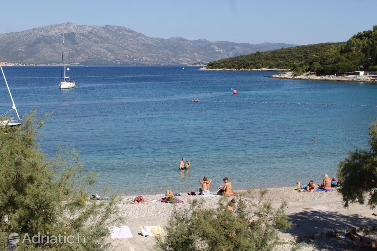 Nearest beach - Apartments by the sea Korčula