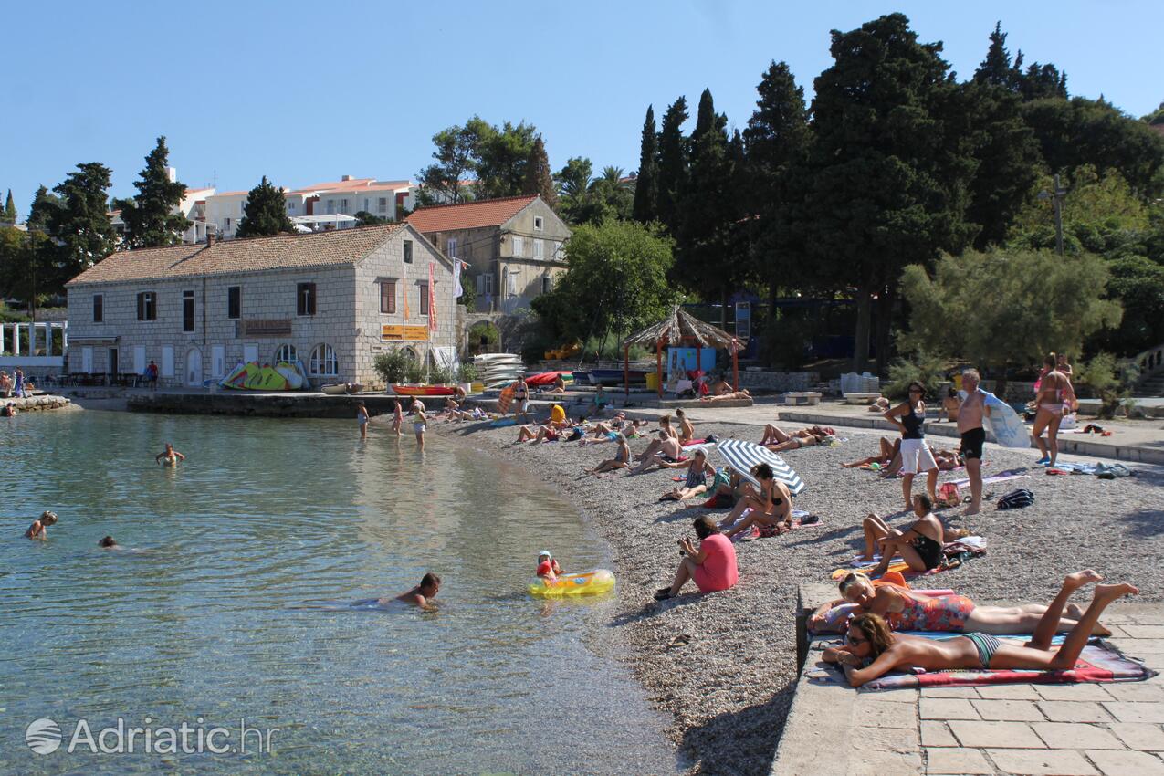 Nearest beach - Apartments by the sea Korčula