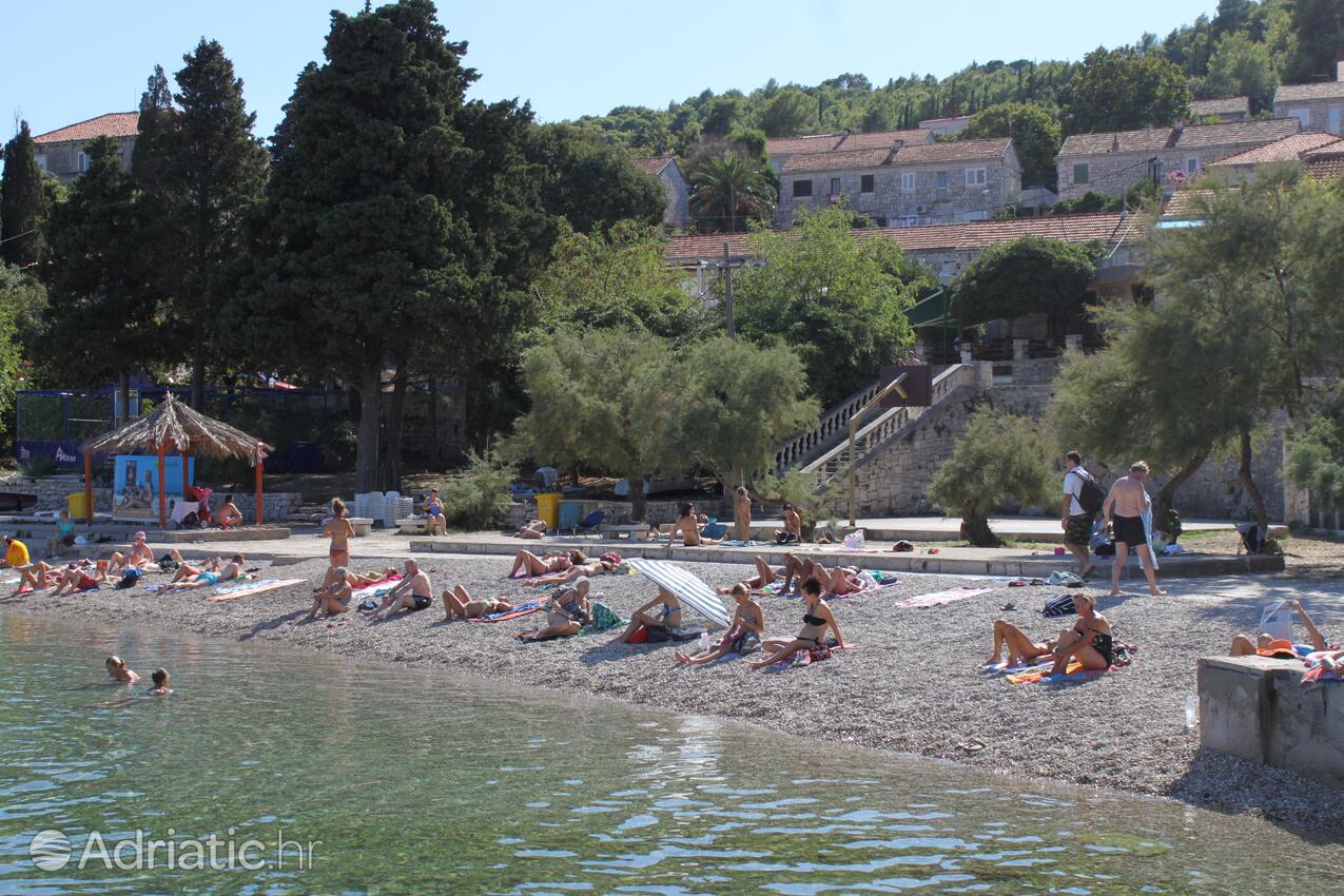 Nearest beach - Apartments by the sea Korčula