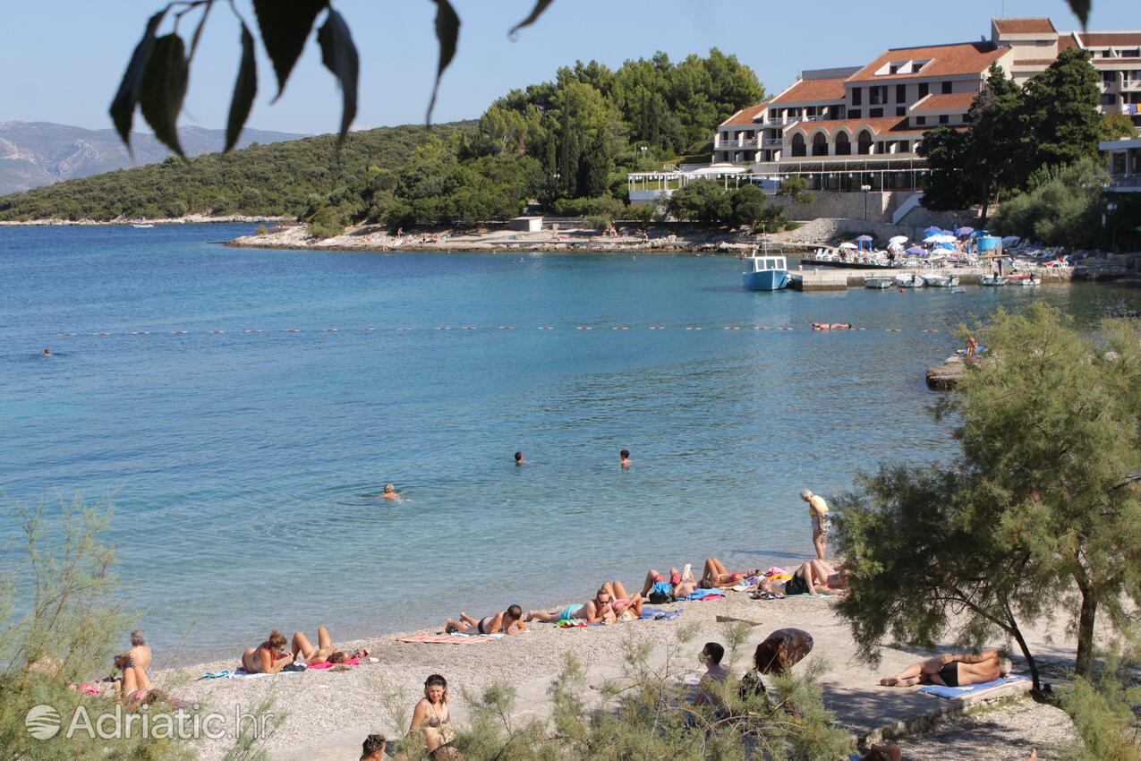 Nearest beach - Apartments by the sea Korčula
