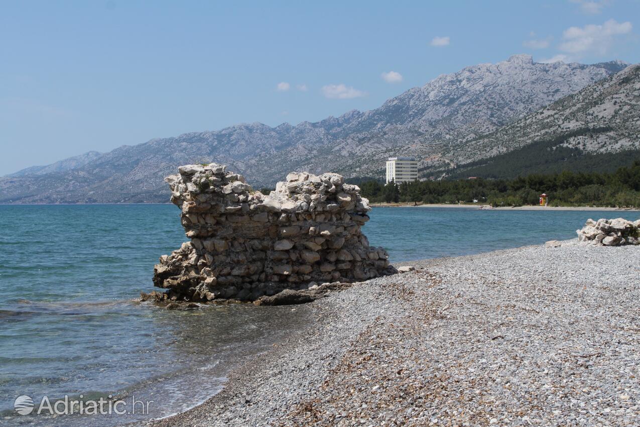 Adriatic.hr