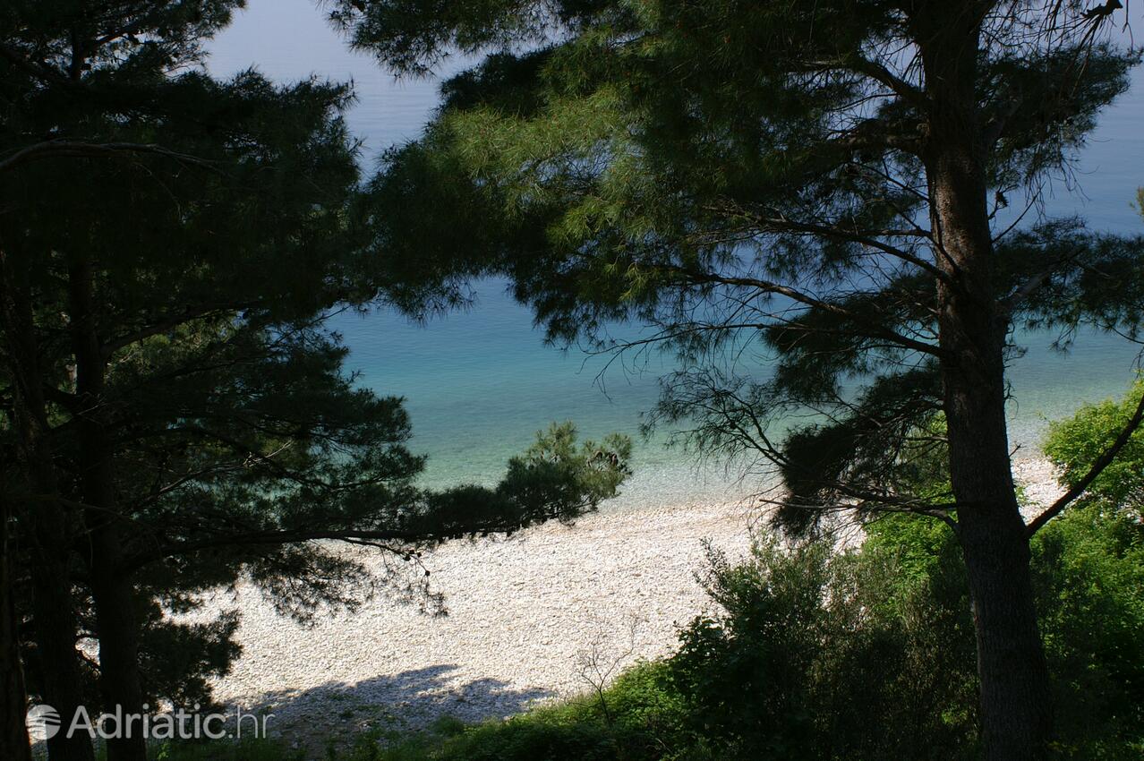 Adriatic.hr
