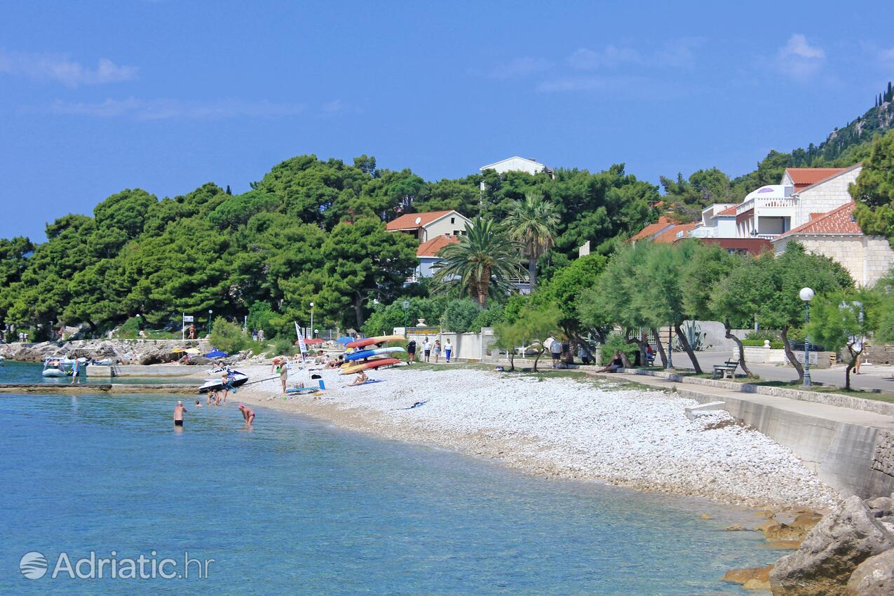 Adriatic.hr